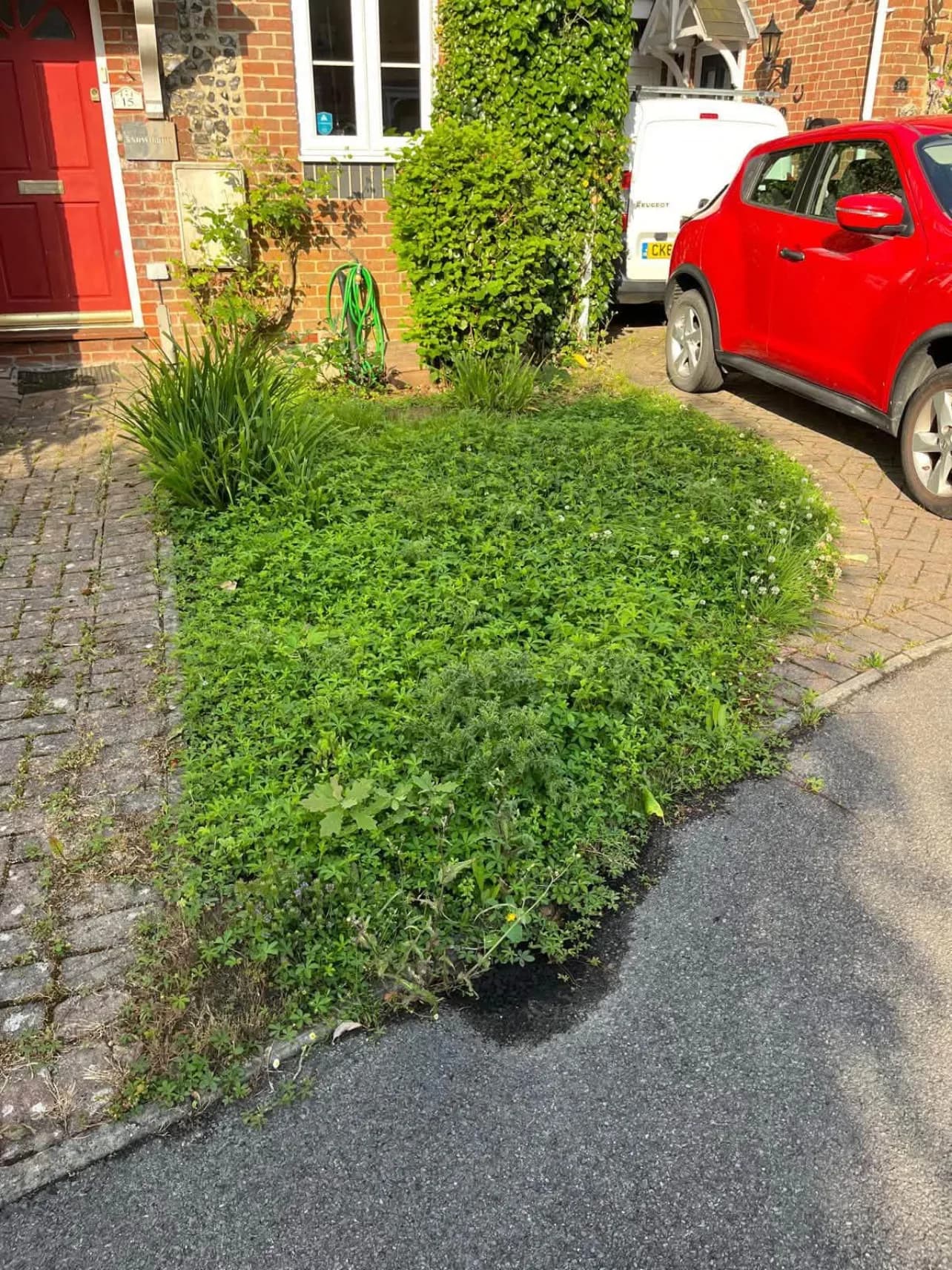 Before: the front garden of a Lytchett property completely overgrown, spilling out across the driveway and pavement
